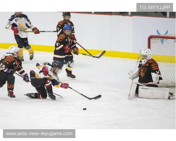 俄罗斯冬奥会冰雪运动多金争夺，亮点频出，冬奥会俄罗斯冰球颁奖